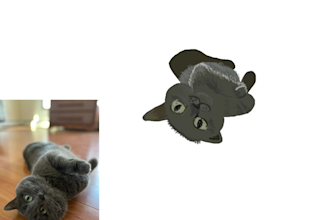 draw your cats portrait in a hand drawn adorable style