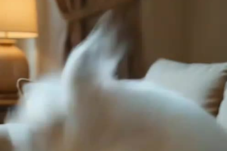 create ai videos, ai animation for youtube using midjourney