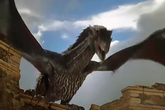 do 3d dragon animal, 3d animal animation ,fur animation