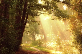 create meditation music video HD or 4k