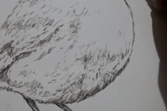 do pencil and pen drawing sketch