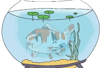draw your twitch set up