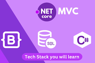 be your asp net core mvc teacher, online zoom lessons