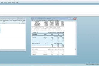 do econometric panel time series analysis for your research
