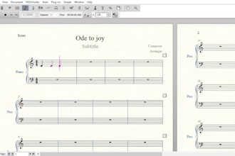 transcribe to score the songs you want to play on the piano