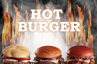add fire, explosion and smoke effects for your still images and video