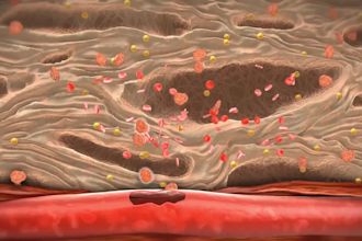 do 3d medical video, medical explainer, 3d biology animation