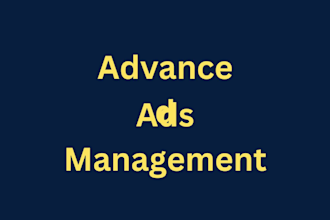 manage facebook and instagram ads campaigns