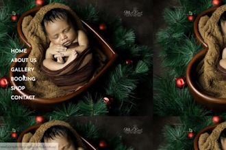 create a stunning  photography website with online booking