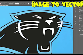 vector trace,redraw and color separation for screen printing