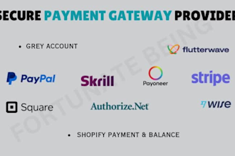 provide shopify payment verified square wise and other gateway for your business