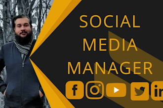 be your social media manager for facebook instagram linkedin