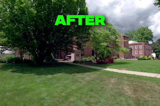professionally stabilize and color grade your footage