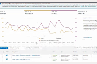 manage amazon fba ppc ads campaign high roas for UK, US, cad, germany market