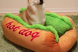 dropshipping product video ad