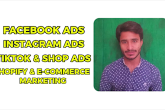 set up high converting facebook and instagram ad  for your business