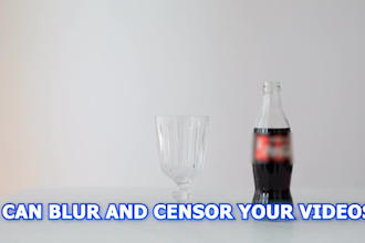 blur and censor your videos