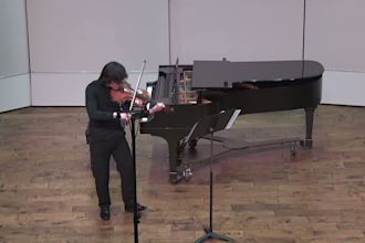 teach you how to play violin viola or music theory