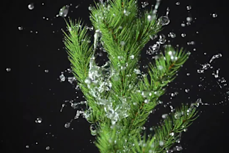 cgi 3d product animation video 3d industrial product rendering blender c4d model