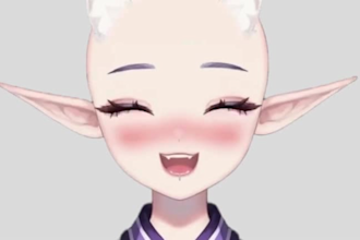 custom live 2d vtuber 2dvtuber facial rigg 2dvtuber model