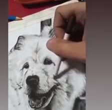 draw charcoal portraits on a4 size vellum board