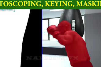do professional vfx, rotoscoping keying and cleanup