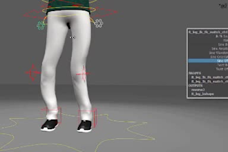 setup 3d rigging in any software,iclone rig,control rig,arkit rokoko rig,animate
