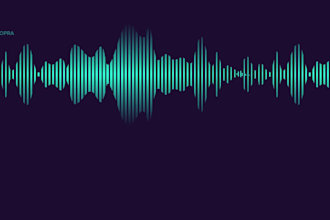 professionally edit and mix your audio for a polished sound