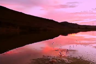 create a cinematic video edit from stock footage