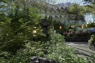 landscaping 3d photorealistic renders