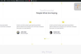 design beautiful professional personal portfolio wordpress website in 12 hours