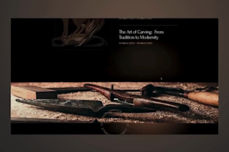 design 3d animated webflow website spline lottie animation wized threejs gsap