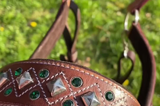 create ugc horse product videos