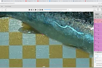 provide expert image, video, and text annotation services, cvat specialist