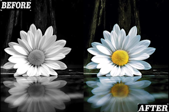 color your black and white photo