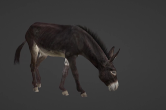 do realistic 3d animal animation, 3d modelling, 3d rendering vfx, for your film,