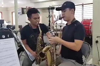 teach beginner saxophone for school band preparation