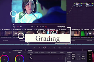 be your pro youtube video editor