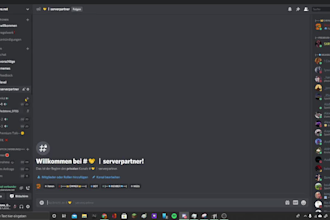 create a professional discord for you
