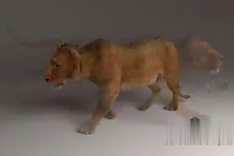 do cgi 3d animal animation, 3d animal design, wildlife animals character model