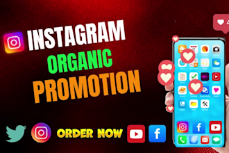 instagram organic promotion for super fast