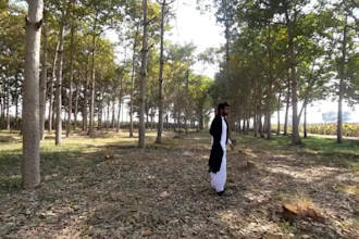 do best video editing for songs pakistan
