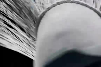 do realistic 3d shoe animation, 3d shoe design 3d footwear, 3d sneaker animation