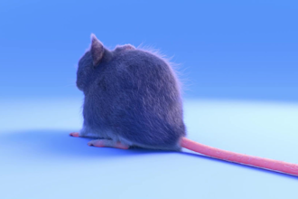 create a realistic 3d character with fur and rig