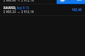 provide forex trading bot, forex ea bot trading bot forex bot forex trading bot