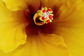 do 3d jewelry animation 3d jewelry modeling and rendering 3d product animation