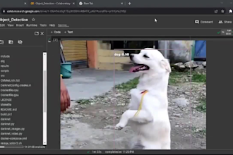 do deep learning using yolo, tensor flow, keras, pytorch, and opencv