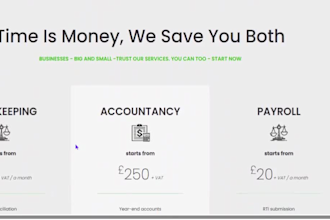 build squarespace bookkeeping website, tax, insurance website accounting website