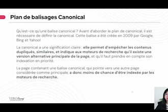 provide an online SEO GEO training in french
