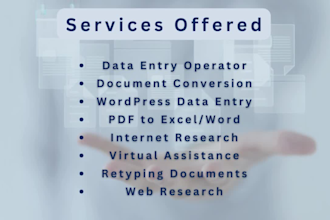 be your pro virtual assistant data entry admin